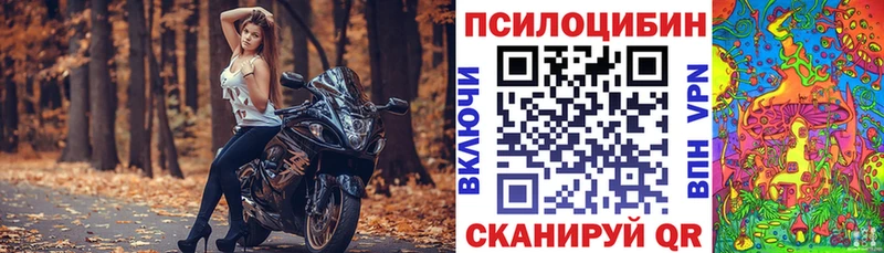 даркнет сайт  Белая Холуница  Псилоцибиновые грибы GOLDEN TEACHER 