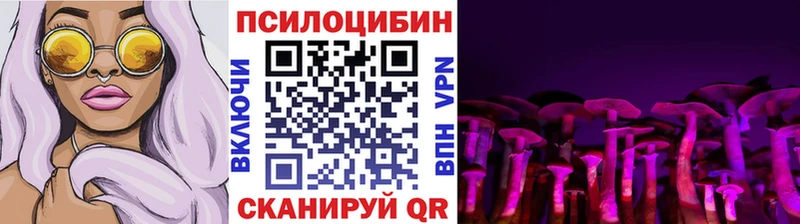 Галлюциногенные грибы Psilocybine cubensis Белая Холуница