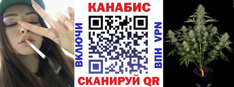 Конопля планчик  Белая Холуница 